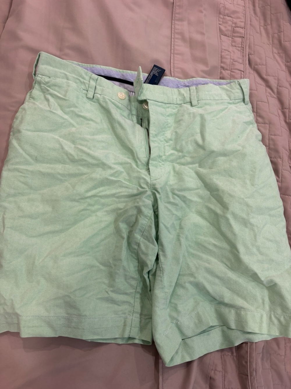 Polo by Ralph Lauren Mint Green Flat Front Cotton Shorts